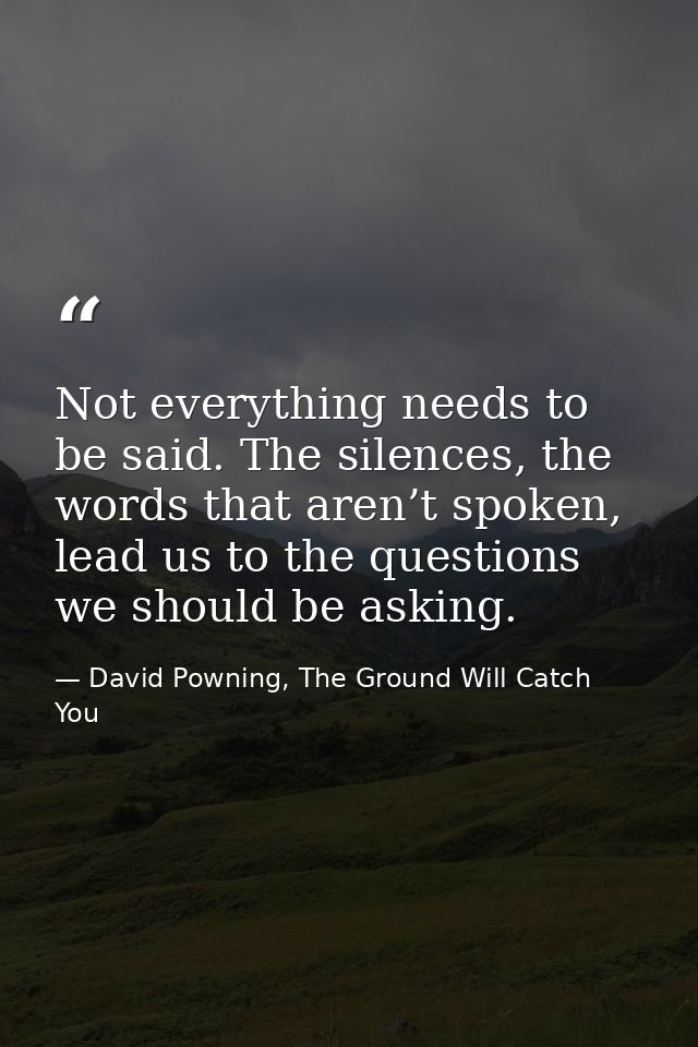 Not everything needs to be said. The silences, the words that aren’t spoken, lead us to the questions we should be askin — David Powning, The Ground Will Catch You