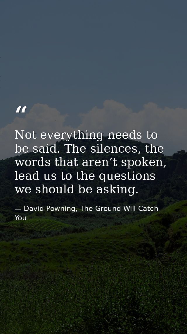 Not everything needs to be said. The silences, the words that aren’t spoken, lead us to the questions we should be askin — David Powning, The Ground Will Catch You