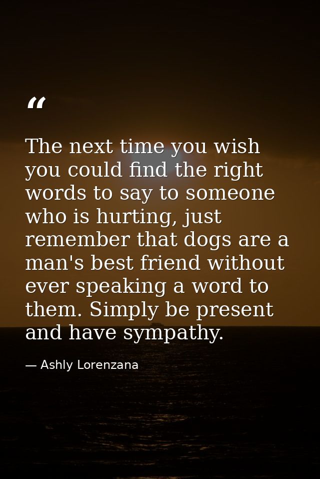 The next time you wish you could find the right words to say to someone who is hurting, just remember that dogs are a ma — Ashly Lorenzana