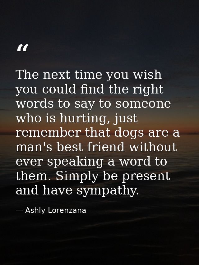 The next time you wish you could find the right words to say to someone who is hurting, just remember that dogs are a ma — Ashly Lorenzana