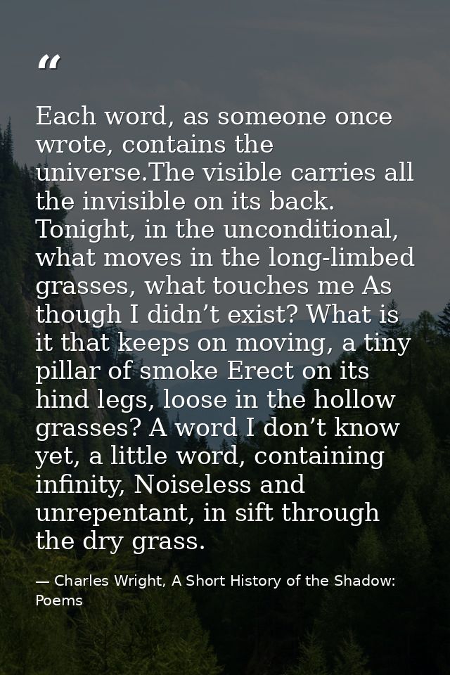 Each word, as someone once wrote, contains the universe.The visible carries all the invisible on its back. Tonight, in t — Charles Wright, A Short History of the Shadow: Poems