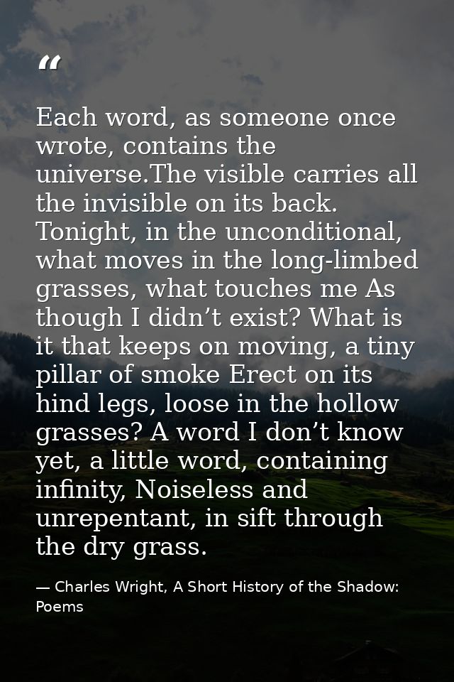 Each word, as someone once wrote, contains the universe.The visible carries all the invisible on its back. Tonight, in t — Charles Wright, A Short History of the Shadow: Poems