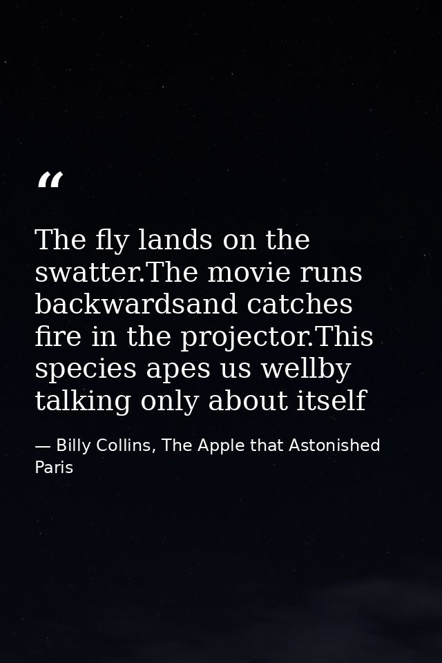 The fly lands on the swatter.The movie runs backwardsand catches fire in the projector.This species apes us wellby talki — Billy Collins, The Apple that Astonished Paris