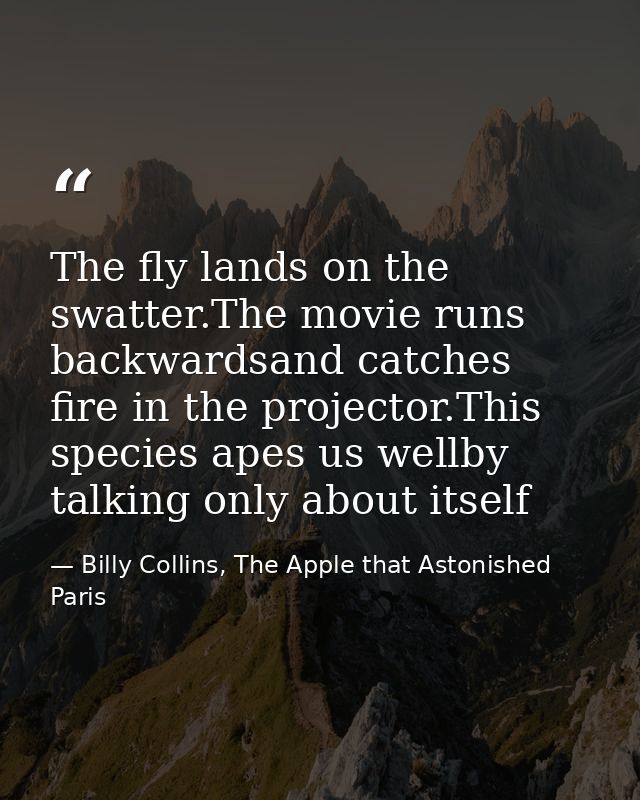 The fly lands on the swatter.The movie runs backwardsand catches fire in the projector.This species apes us wellby talki — Billy Collins, The Apple that Astonished Paris