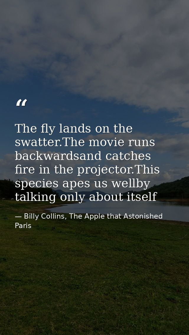 The fly lands on the swatter.The movie runs backwardsand catches fire in the projector.This species apes us wellby talki — Billy Collins, The Apple that Astonished Paris