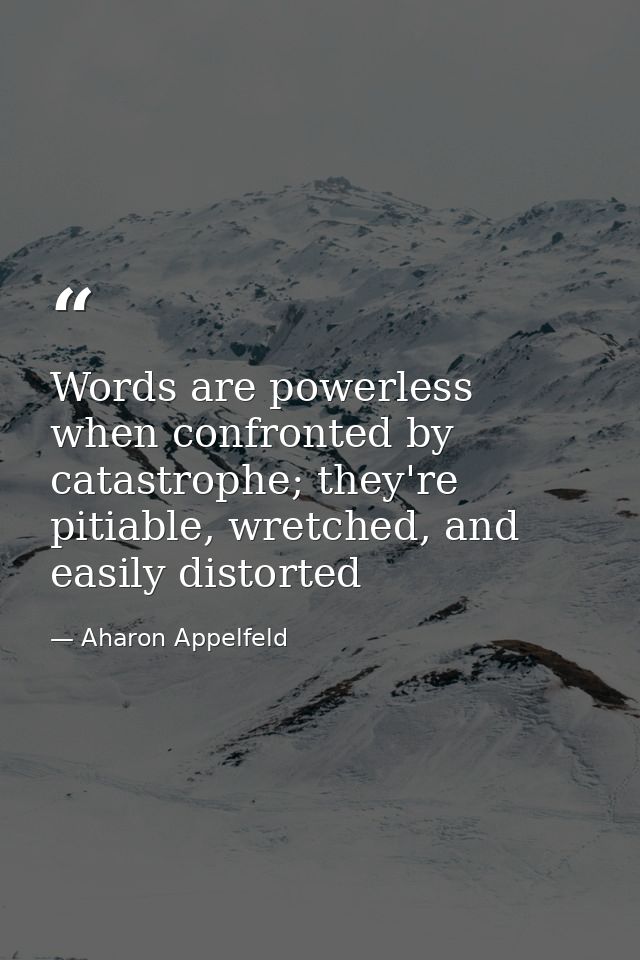 Words are powerless when confronted by catastrophe; they're pitiable, wretched, and easily distorted — Aharon Appelfeld