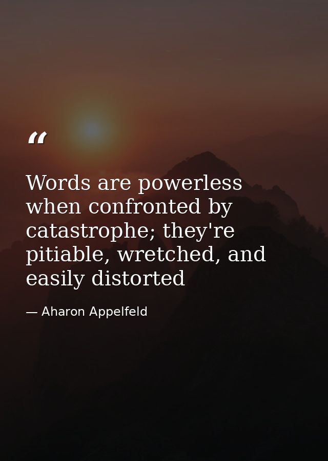 Words are powerless when confronted by catastrophe; they're pitiable, wretched, and easily distorted — Aharon Appelfeld