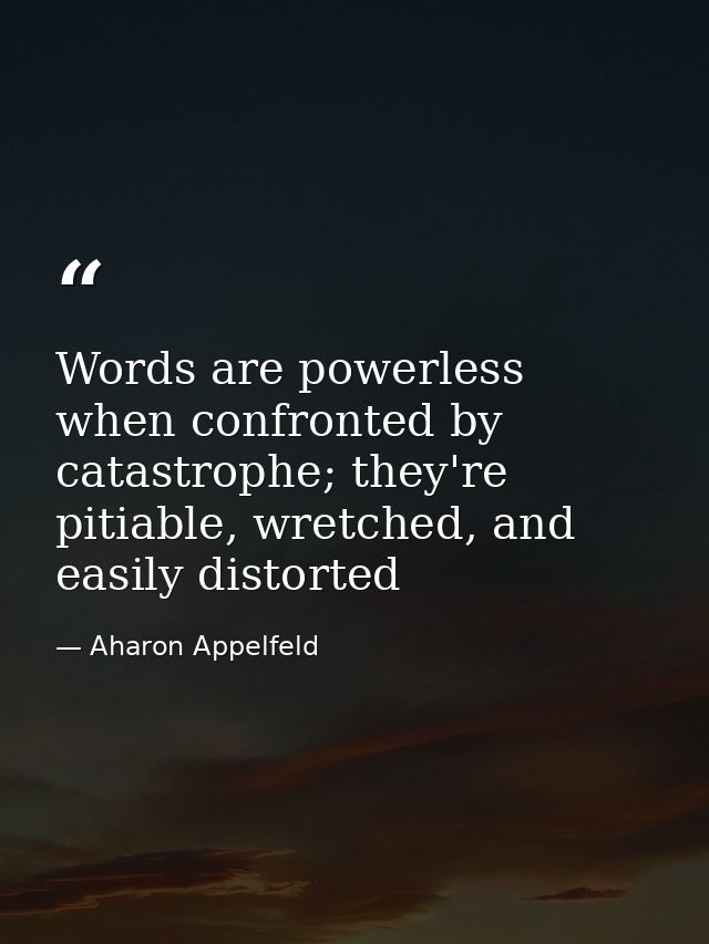 Words are powerless when confronted by catastrophe; they're pitiable, wretched, and easily distorted — Aharon Appelfeld