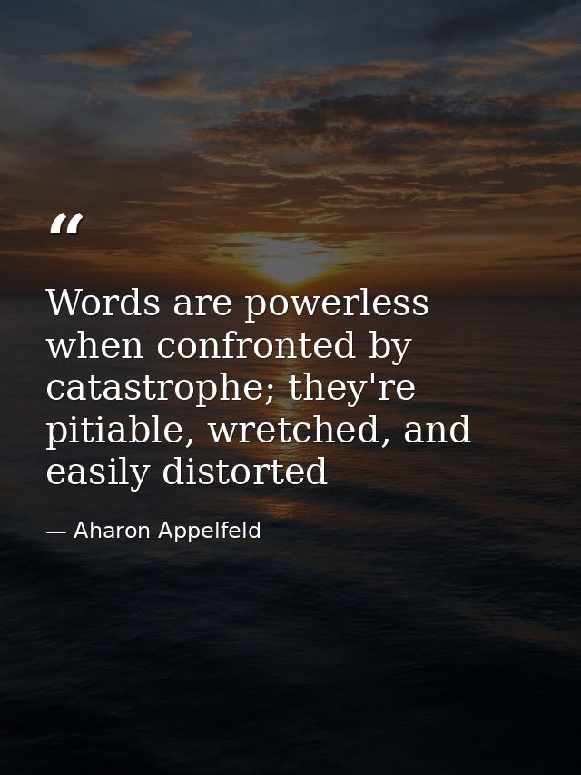 Words are powerless when confronted by catastrophe; they're pitiable, wretched, and easily distorted — Aharon Appelfeld