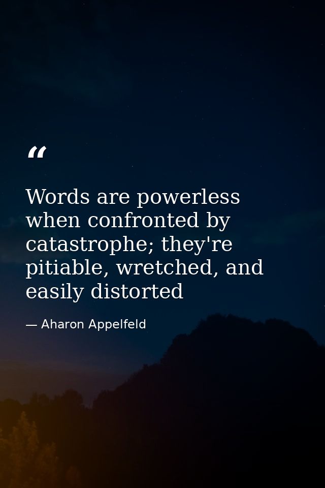 Words are powerless when confronted by catastrophe; they're pitiable, wretched, and easily distorted — Aharon Appelfeld