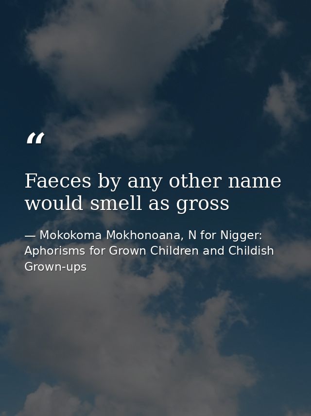 Faeces by any other name would smell as gross — Mokokoma Mokhonoana, N for Nigger: Aphorisms for Grown Children and Childish Grown-ups
