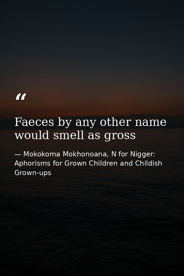 Faeces by any other name would smell as gross — Mokokoma Mokhonoana, N for Nigger: Aphorisms for Grown Children and Childish Grown-ups