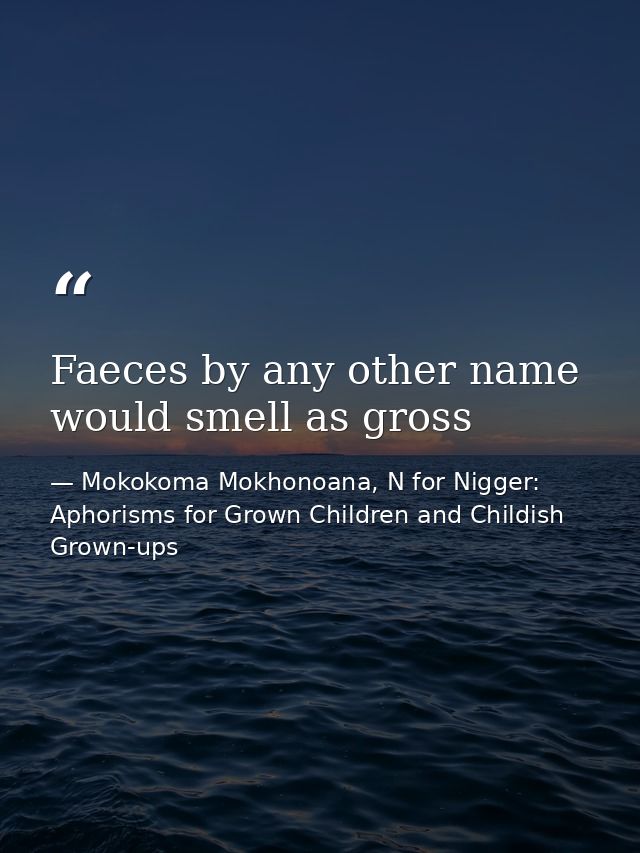 Faeces by any other name would smell as gross — Mokokoma Mokhonoana, N for Nigger: Aphorisms for Grown Children and Childish Grown-ups