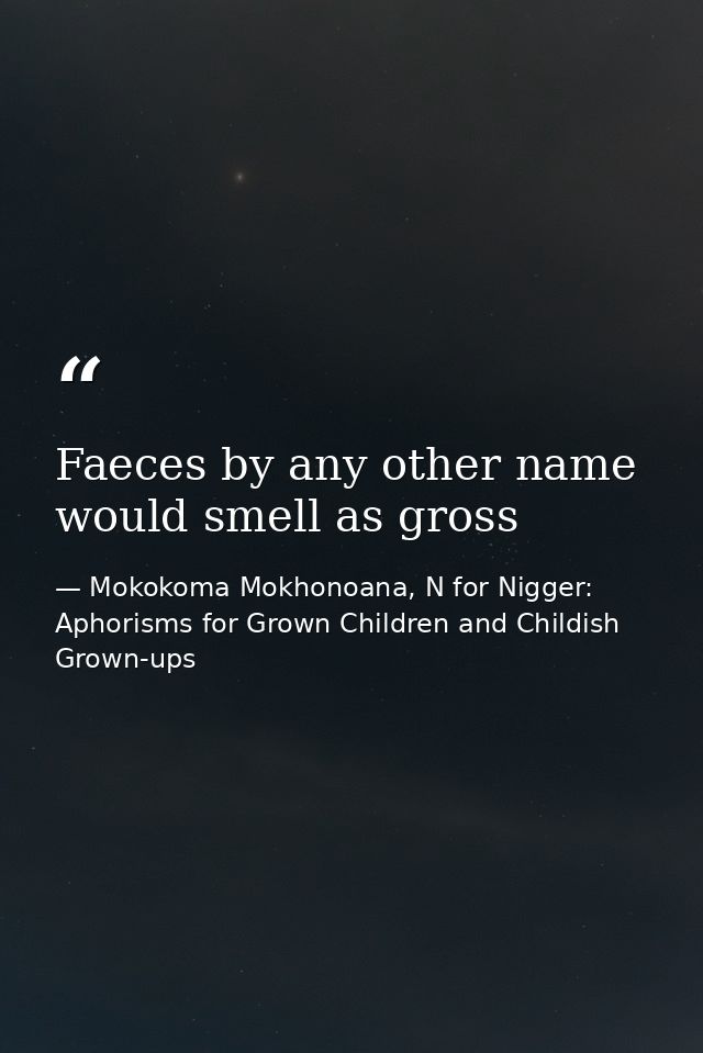 Faeces by any other name would smell as gross — Mokokoma Mokhonoana, N for Nigger: Aphorisms for Grown Children and Childish Grown-ups