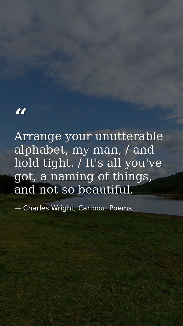 Arrange your unutterable alphabet, my man, / and hold tight. / It's all you've got, a naming of things, and not so beaut — Charles Wright, Caribou: Poems