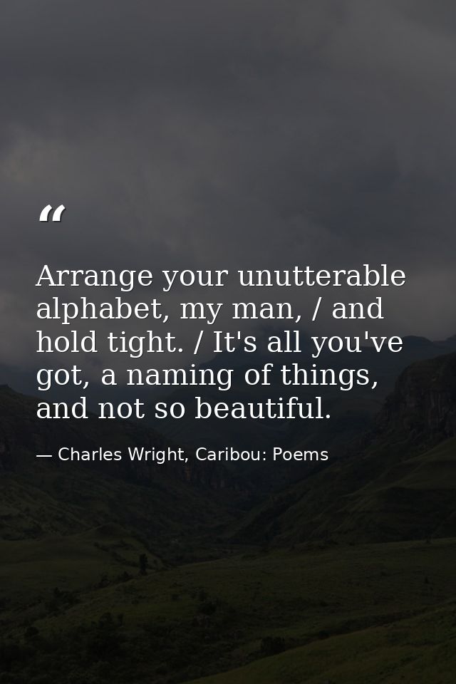 Arrange your unutterable alphabet, my man, / and hold tight. / It's all you've got, a naming of things, and not so beaut — Charles Wright, Caribou: Poems