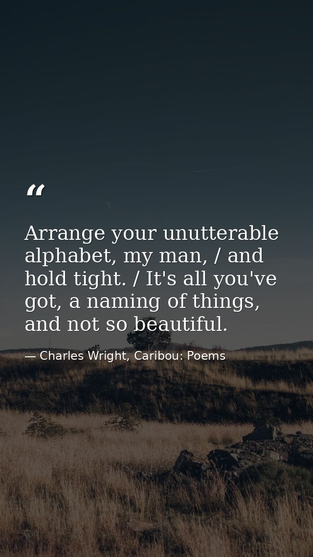 Arrange your unutterable alphabet, my man, / and hold tight. / It's all you've got, a naming of things, and not so beaut — Charles Wright, Caribou: Poems