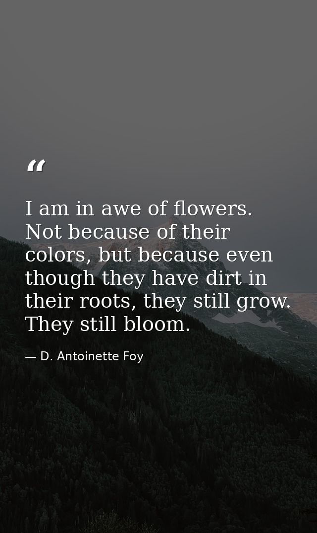 I am in awe of flowers. Not because of their colors, but because even though they have dirt in their roots, they still g — D. Antoinette Foy