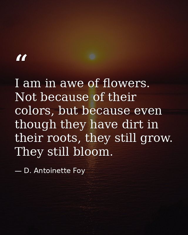 I am in awe of flowers. Not because of their colors, but because even though they have dirt in their roots, they still g — D. Antoinette Foy