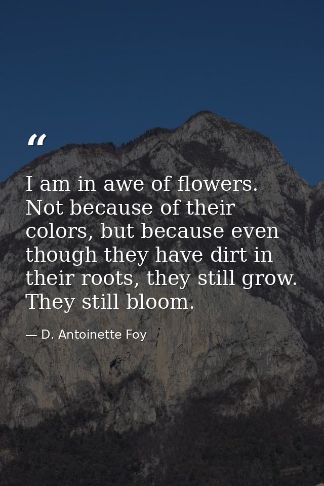 I am in awe of flowers. Not because of their colors, but because even though they have dirt in their roots, they still g — D. Antoinette Foy