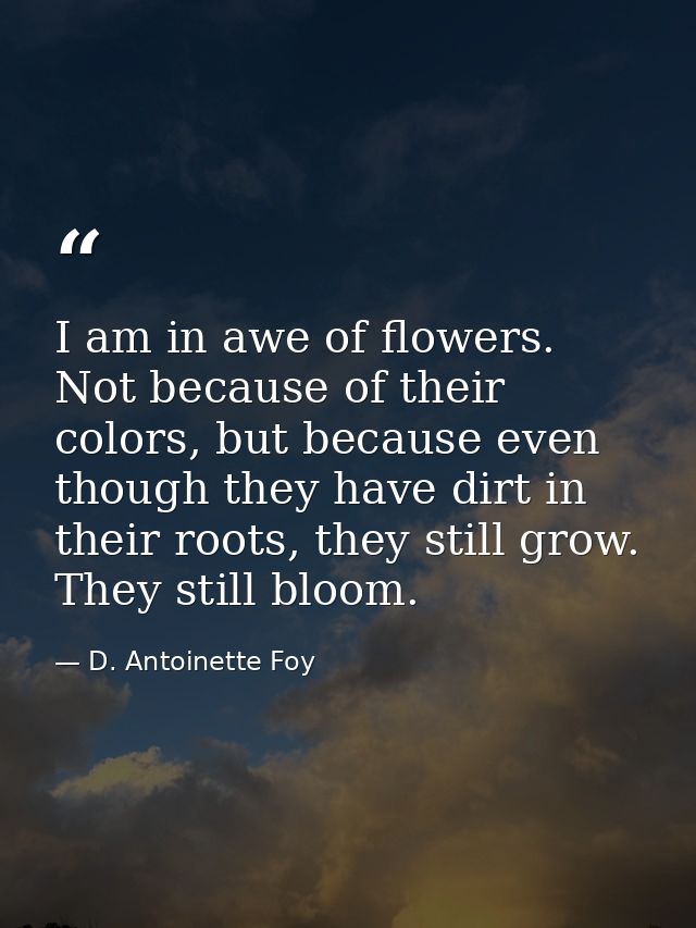 I am in awe of flowers. Not because of their colors, but because even though they have dirt in their roots, they still g — D. Antoinette Foy