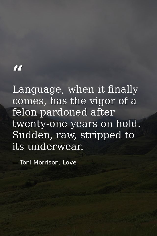 Language, when it finally comes, has the vigor of a felon pardoned after twenty-one years on hold. Sudden, raw, stripped — Toni Morrison, Love