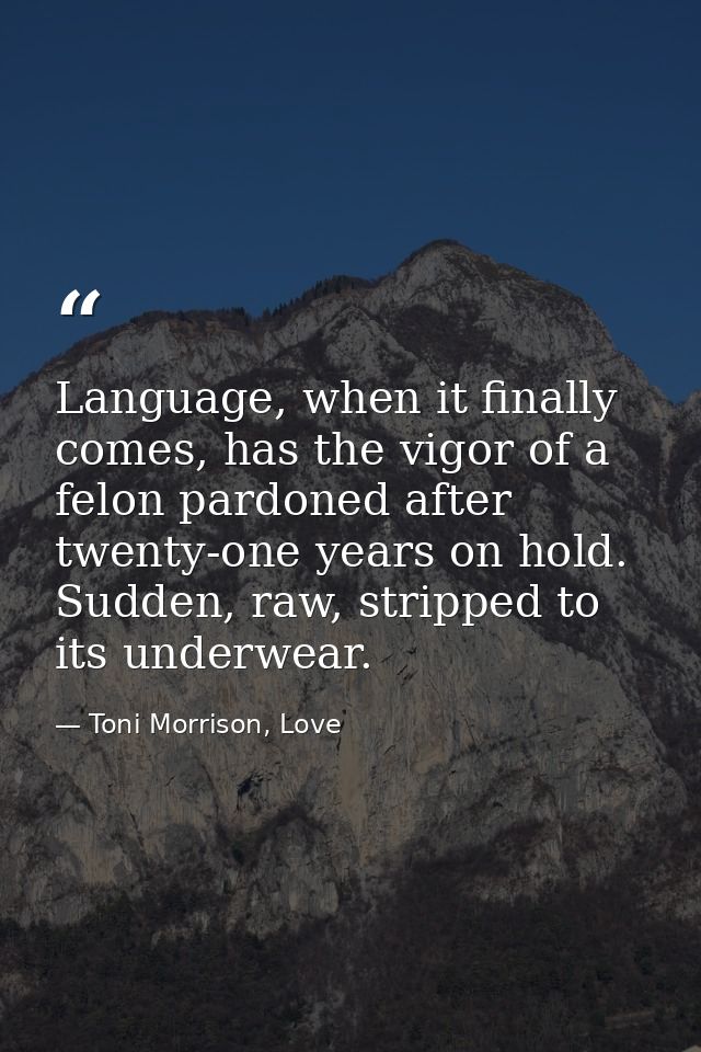 Language, when it finally comes, has the vigor of a felon pardoned after twenty-one years on hold. Sudden, raw, stripped — Toni Morrison, Love