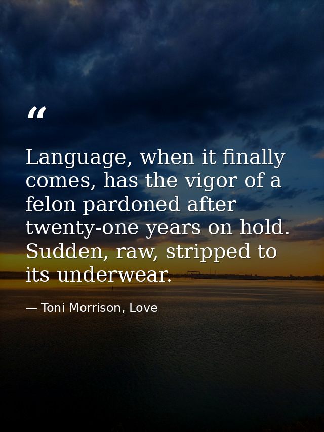 Language, when it finally comes, has the vigor of a felon pardoned after twenty-one years on hold. Sudden, raw, stripped — Toni Morrison, Love