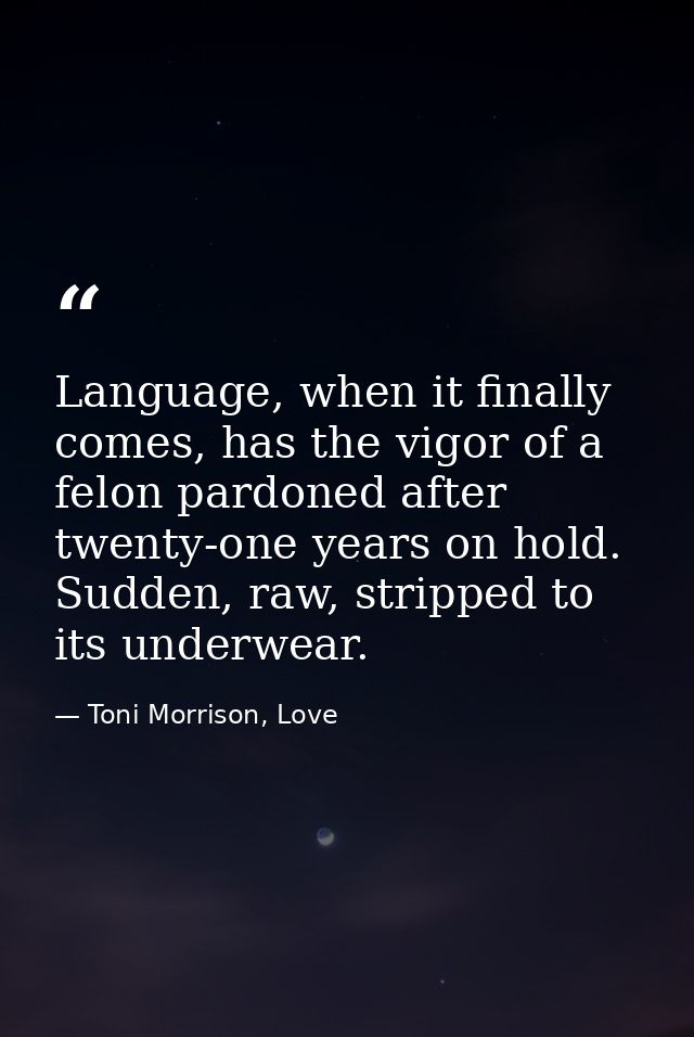 Language, when it finally comes, has the vigor of a felon pardoned after twenty-one years on hold. Sudden, raw, stripped — Toni Morrison, Love