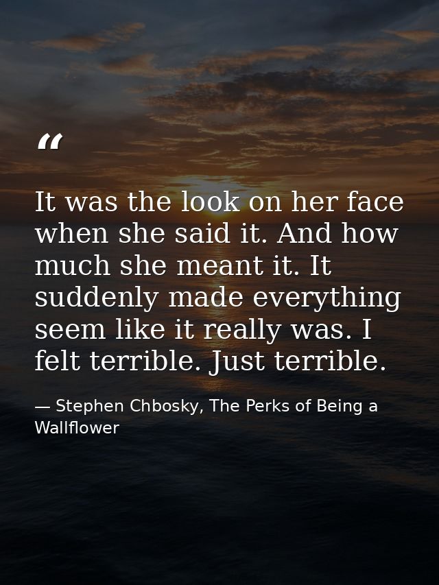 It was the look on her face when she said it. And how much she meant it. It suddenly made everything seem like it really — Stephen Chbosky, The Perks of Being a Wallflower