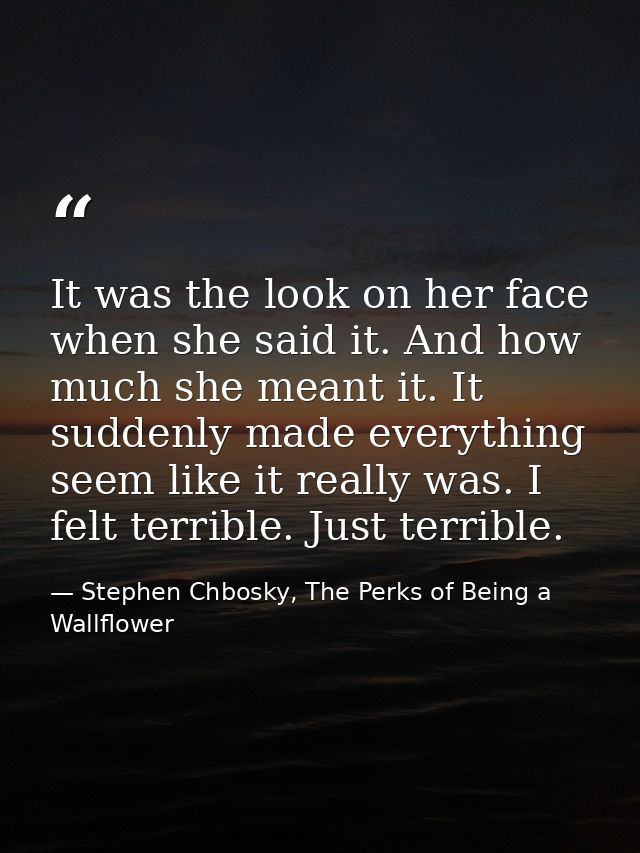 It was the look on her face when she said it. And how much she meant it. It suddenly made everything seem like it really — Stephen Chbosky, The Perks of Being a Wallflower