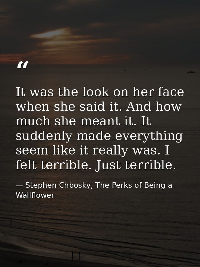 It was the look on her face when she said it. And how much she meant it. It suddenly made everything seem like it really — Stephen Chbosky, The Perks of Being a Wallflower