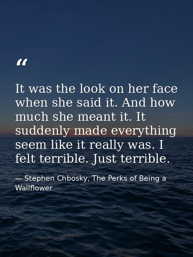It was the look on her face when she said it. And how much she meant it. It suddenly made everything seem like it really — Stephen Chbosky, The Perks of Being a Wallflower