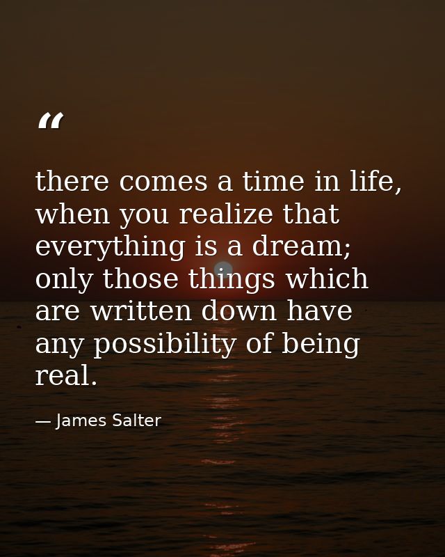 there comes a time in life, when you realize that everything is a dream; only those things which are written down have a — James Salter