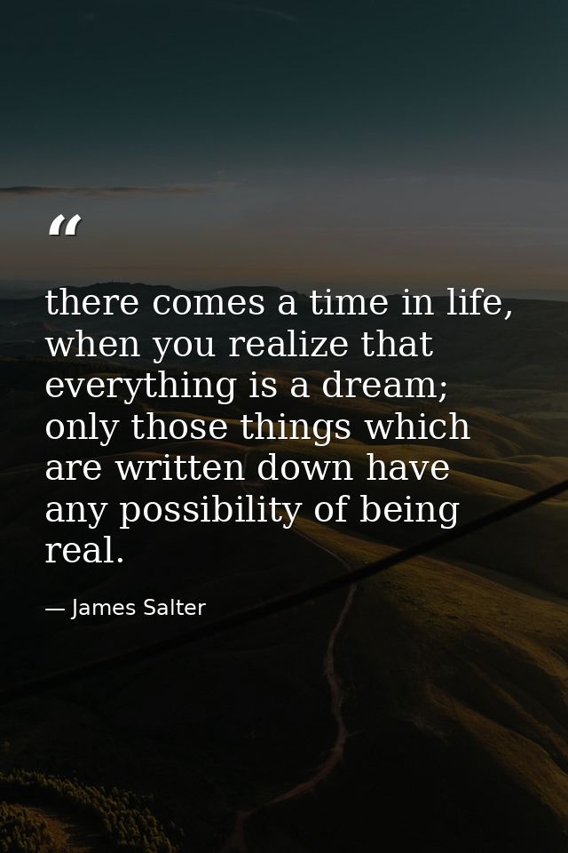 there comes a time in life, when you realize that everything is a dream; only those things which are written down have a — James Salter
