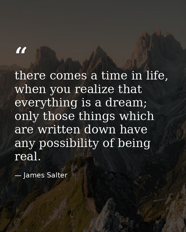 there comes a time in life, when you realize that everything is a dream; only those things which are written down have a — James Salter