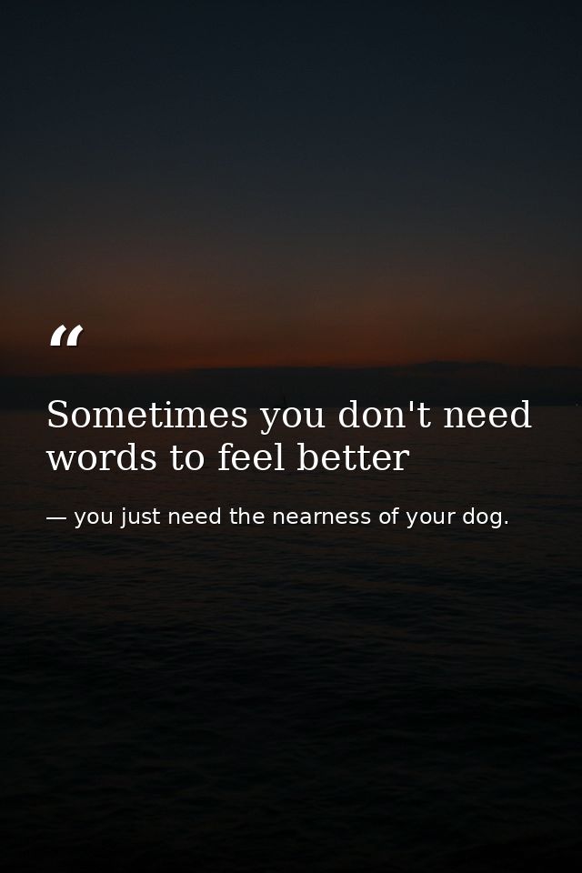 Sometimes you don't need words to feel better — you just need the nearness of your dog.