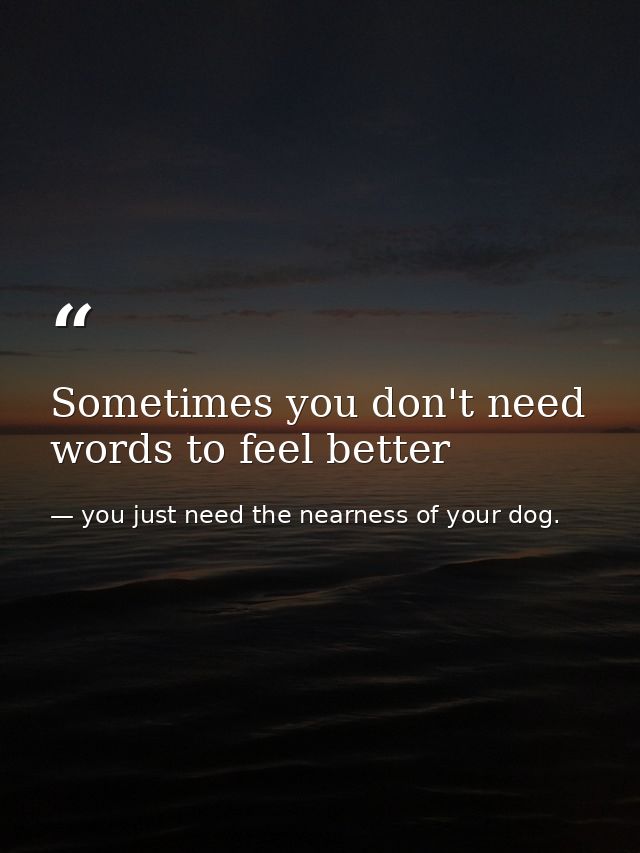 Sometimes you don't need words to feel better — you just need the nearness of your dog.