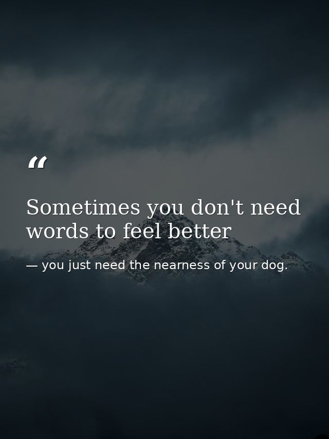 Sometimes you don't need words to feel better — you just need the nearness of your dog.