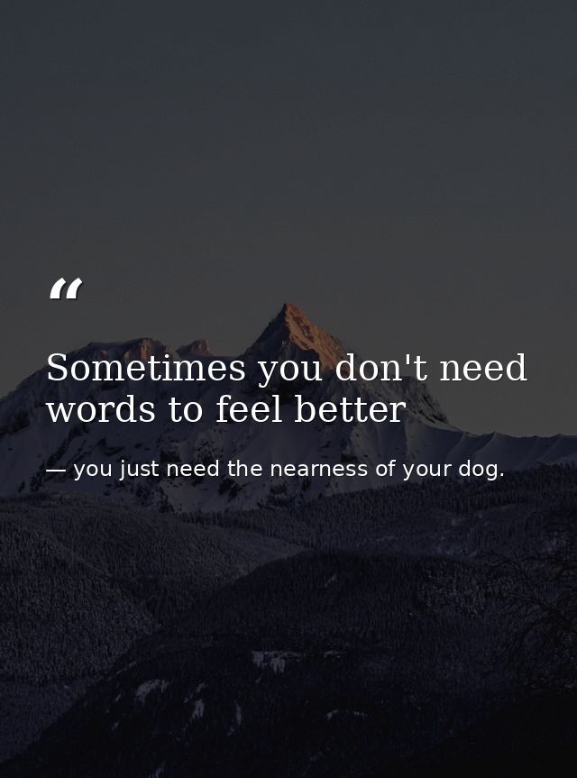 Sometimes you don't need words to feel better — you just need the nearness of your dog.
