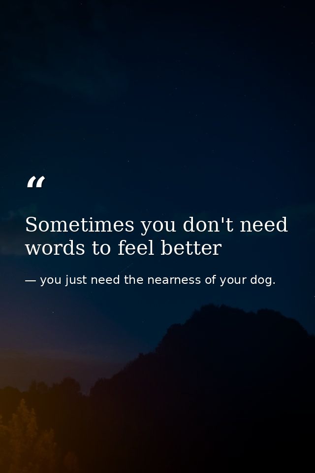 Sometimes you don't need words to feel better — you just need the nearness of your dog.
