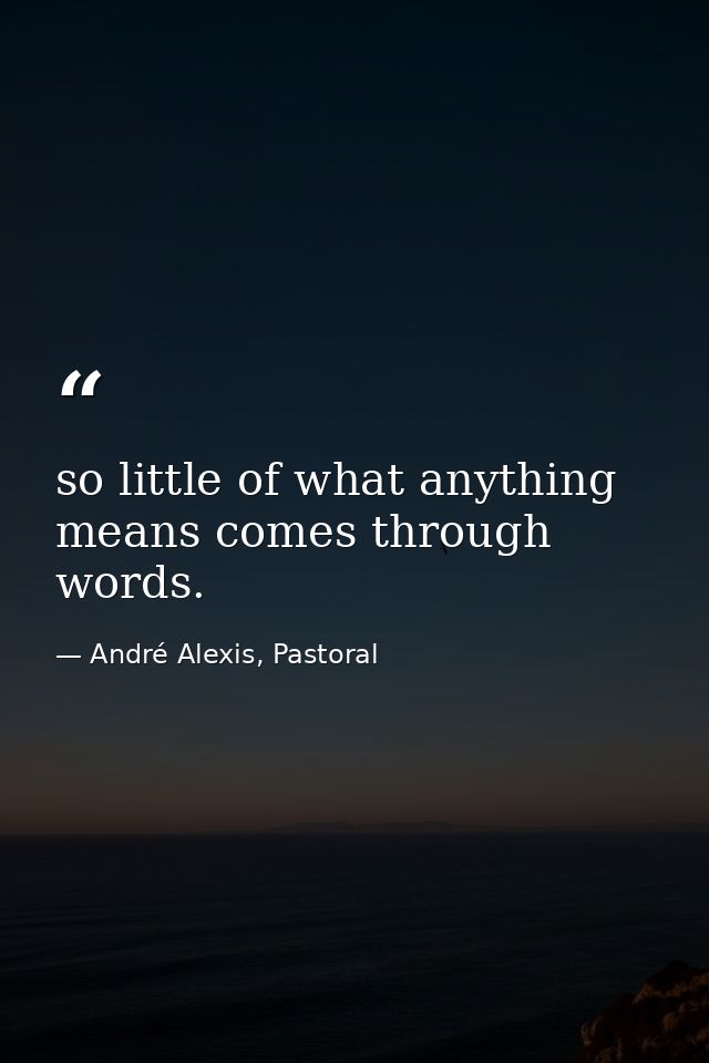so little of what anything means comes through words. — André Alexis, Pastoral