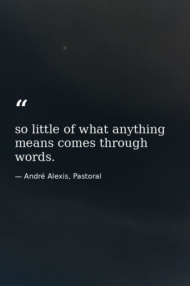 so little of what anything means comes through words. — André Alexis, Pastoral