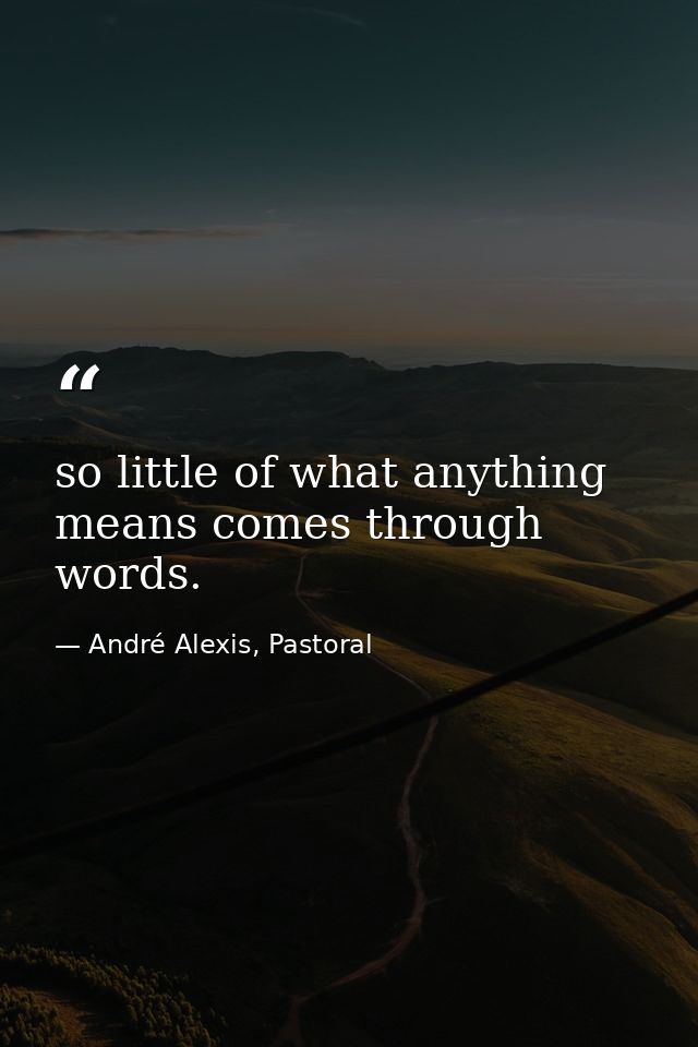 so little of what anything means comes through words. — André Alexis, Pastoral
