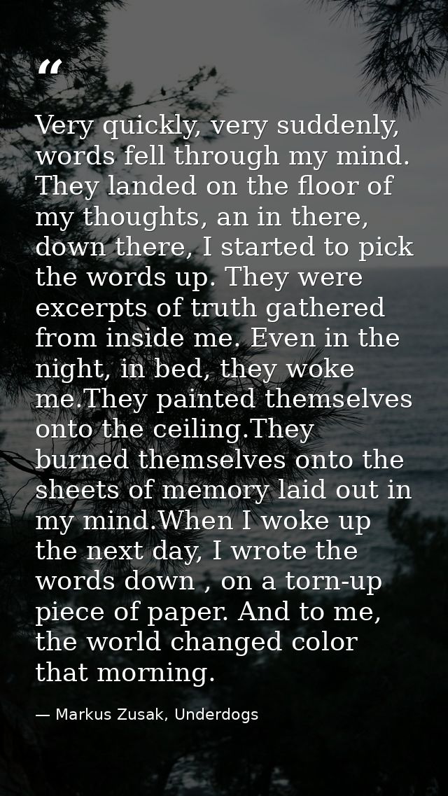 Very quickly, very suddenly, words fell through my mind. They landed on the floor of my thoughts, an in there, down ther — Markus Zusak, Underdogs