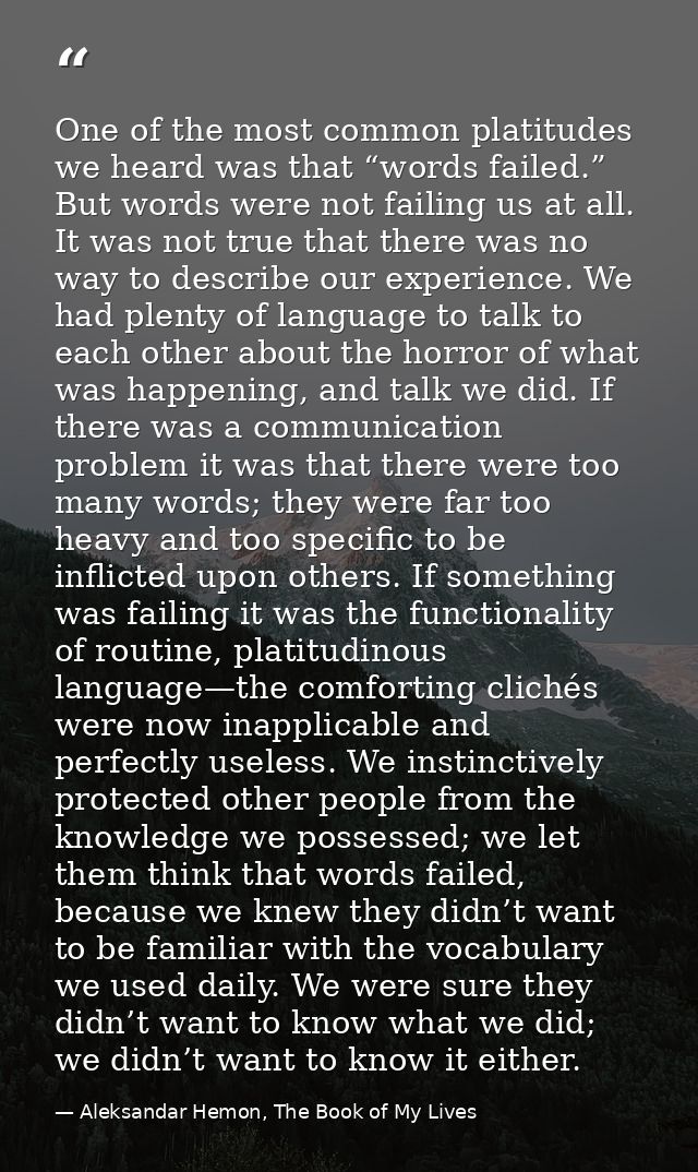 One of the most common platitudes we heard was that “words failed.” But words were not failing us at all. It was not tru — Aleksandar Hemon, The Book of My Lives