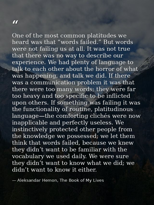 One of the most common platitudes we heard was that “words failed.” But words were not failing us at all. It was not tru — Aleksandar Hemon, The Book of My Lives
