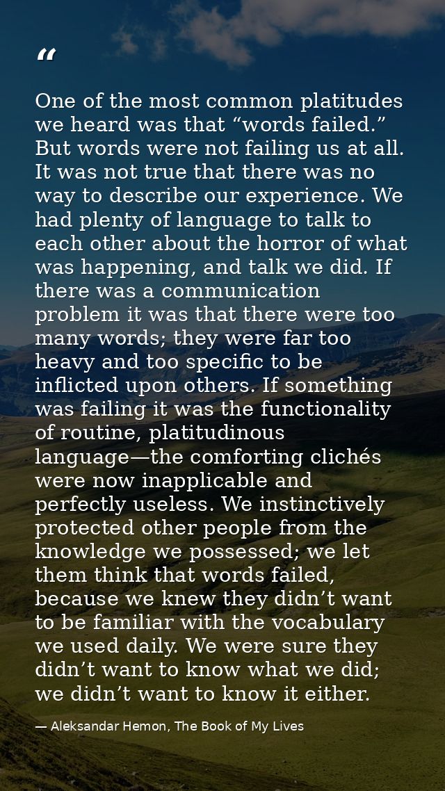One of the most common platitudes we heard was that “words failed.” But words were not failing us at all. It was not tru — Aleksandar Hemon, The Book of My Lives