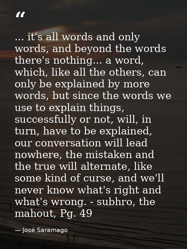 ... it's all words and only words, and beyond the words there's nothing... a word, which, like all the others, can only  — José Saramago