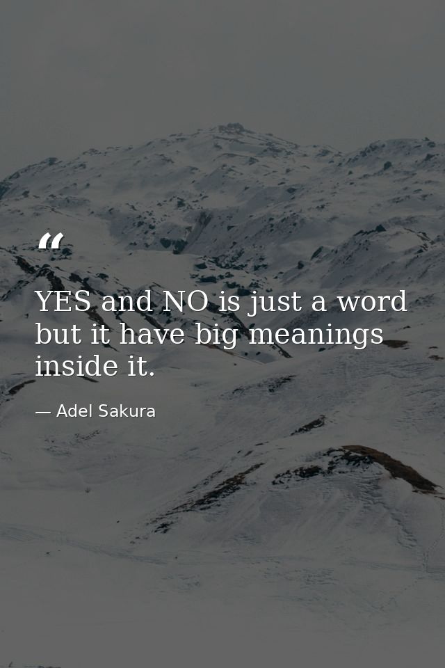 YES and NO is just a word but it have big meanings inside it. — Adel Sakura